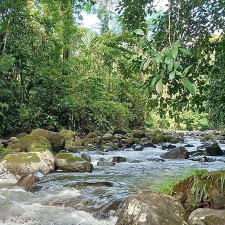 Villas Toecu - Casa Colibri La Fortuna Luaran gambar