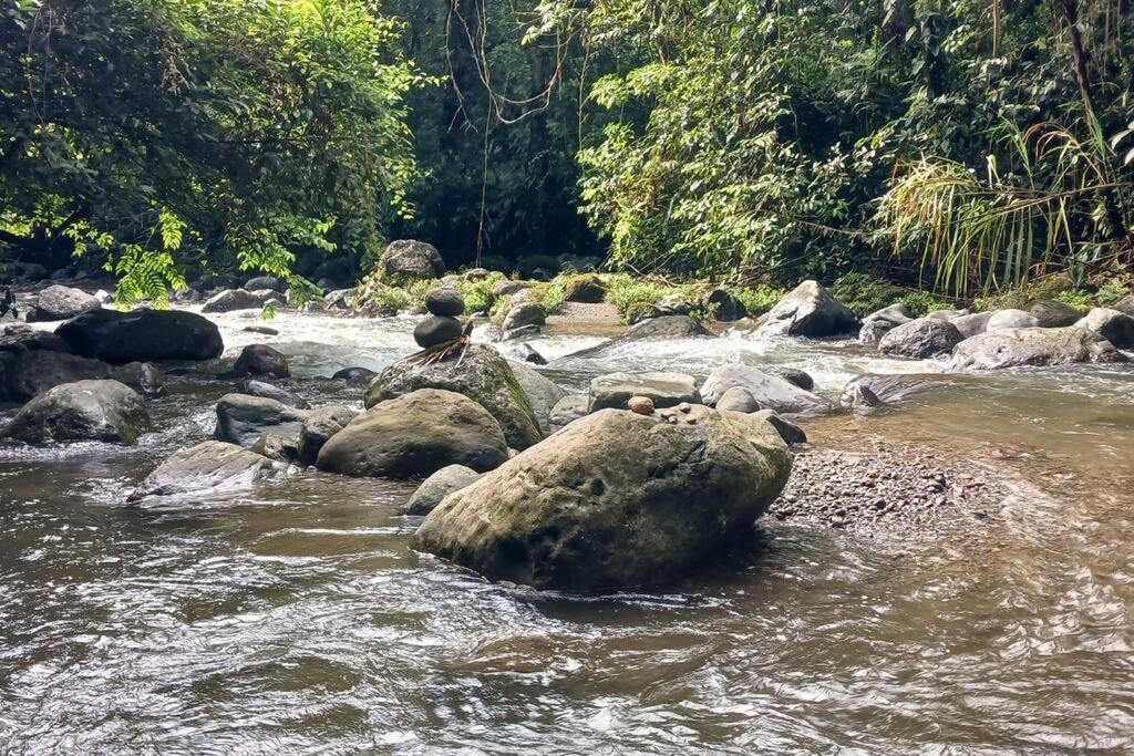 Villas Toecu - Casa Colibri La Fortuna Luaran gambar