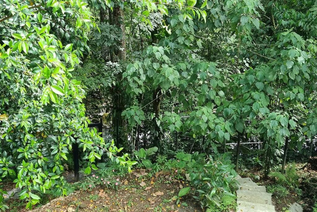 Villas Toecu - Casa Colibri La Fortuna Luaran gambar